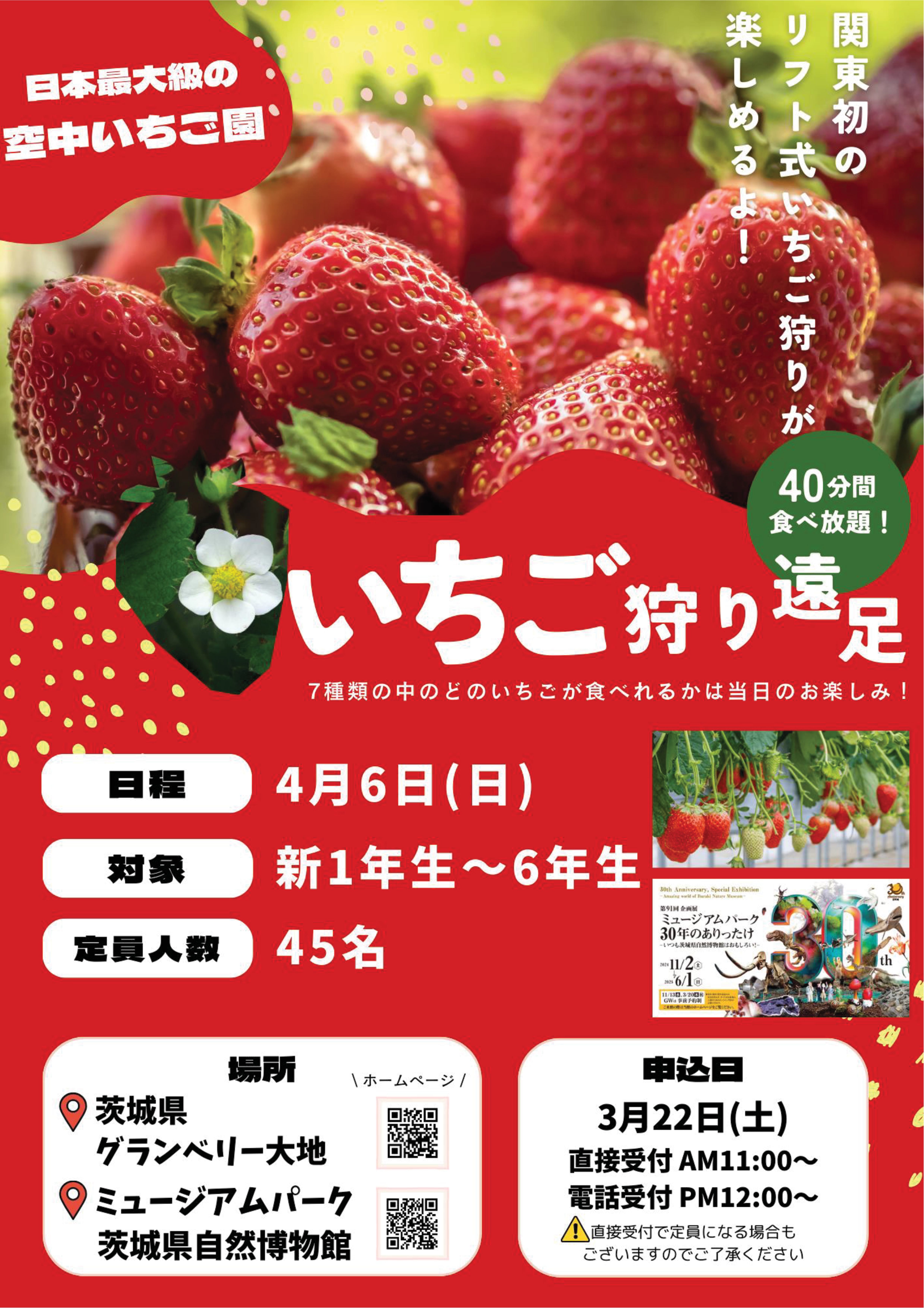 いちご狩り遠足のお知らせ | 東京ドルフィンクラブ 江戸川スイミング
